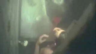 घर छोडेर अघि रेडहेड सह गर्न पति संग fucks